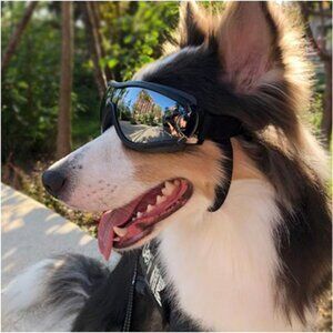 Anti-UV Glasses Dog Sunglasses Waterproof Dog Glasses Golden Retriever